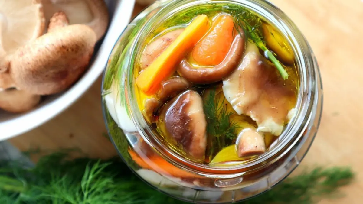 Oyster mushroom pickling: video recipe