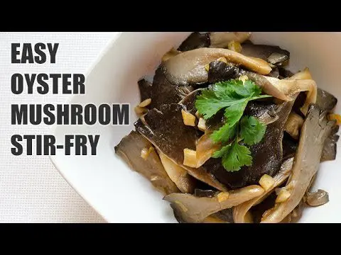 Oyster mushrooms: cooking secrets. Video