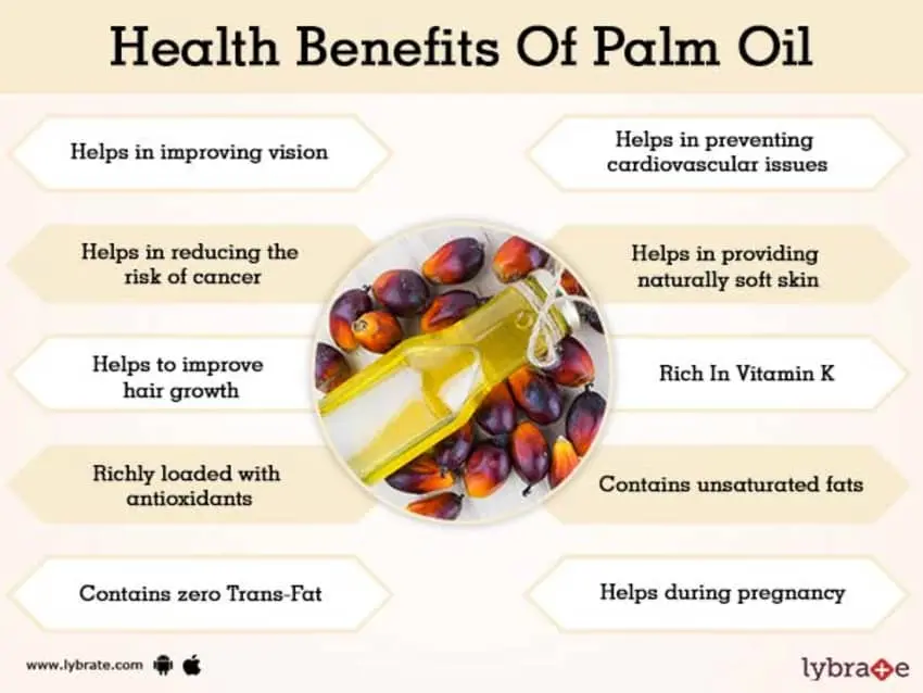 Palm oil, health benefits and harms, than dangerous