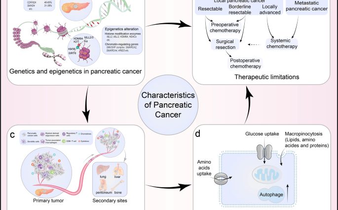 Интересне локације за рак панкреаса, интересне групе и референце