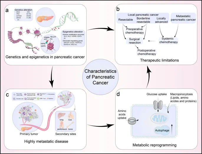 Pancreatic cancer interest sites, interest groups and references