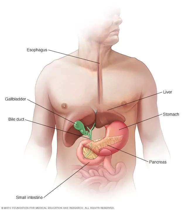 Pancreatic cancer