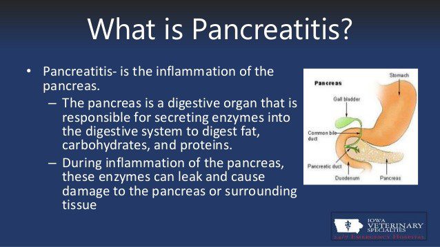 Pankreatitis: šta je to?