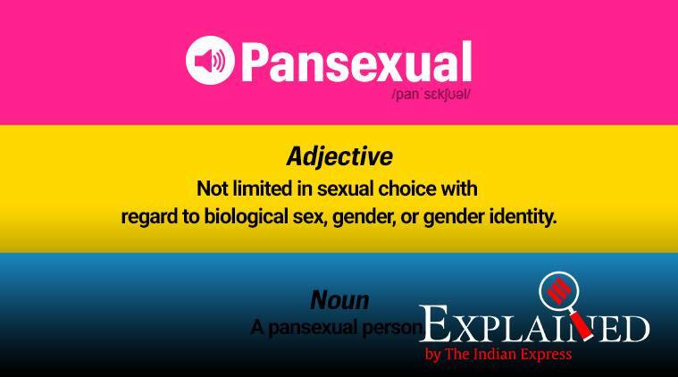 Pansexual: quod pansexuality?