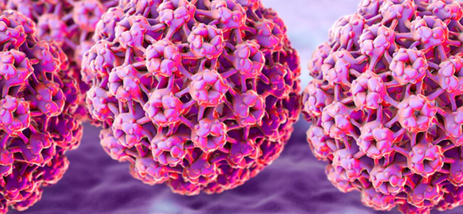 Wirusy brodawczaka (HPV)