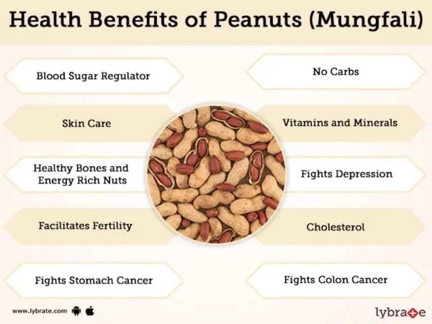 Peanuts, benefits and harms to the body, calorie content, nutritional properties