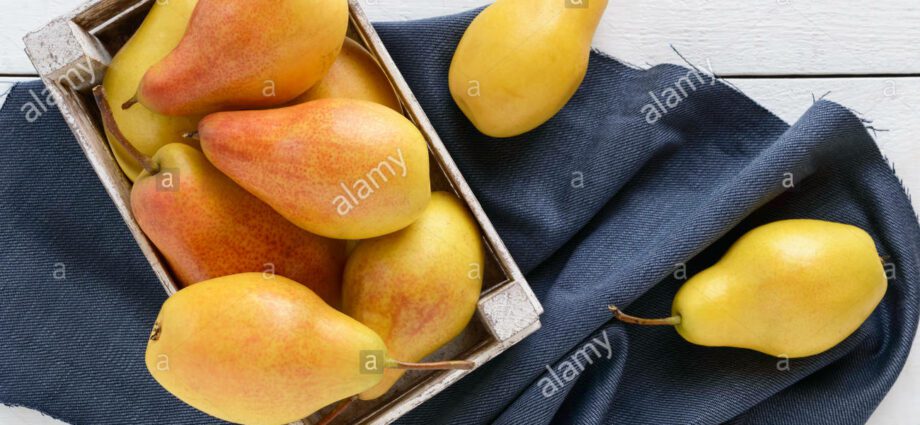 Pear Talgar beauty: variety description