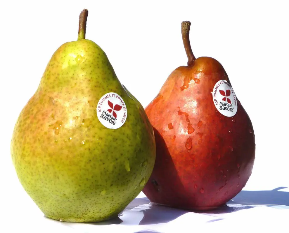 Pear Williams &#8211; description of the pear variety