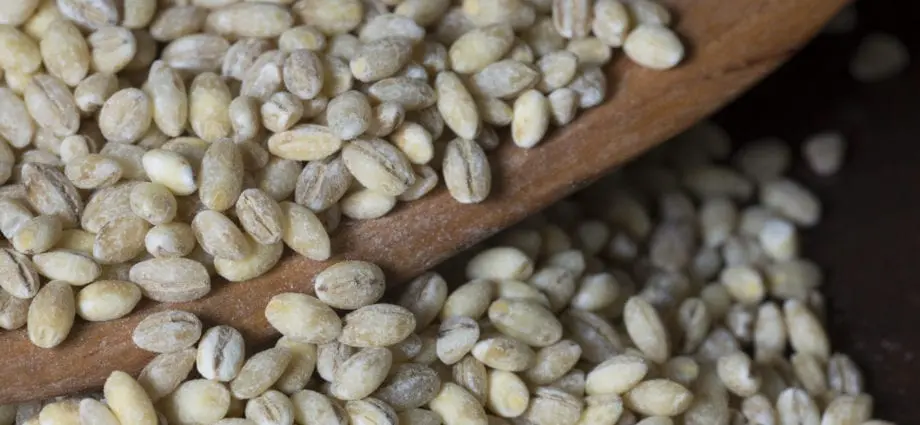 Pearl barley: benefits and harms. Video