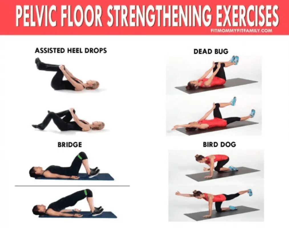 Pelvic floor muscle workout: 4 exercises and maximum benefits