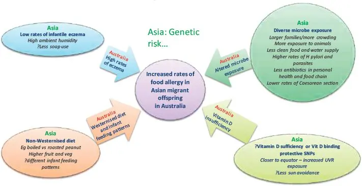 People and risk factors for allergies