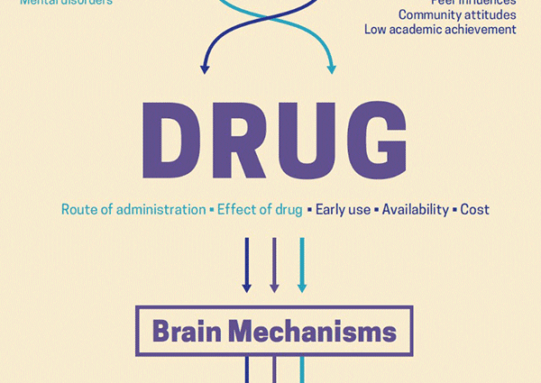 People and risk factors for cocaine addiction