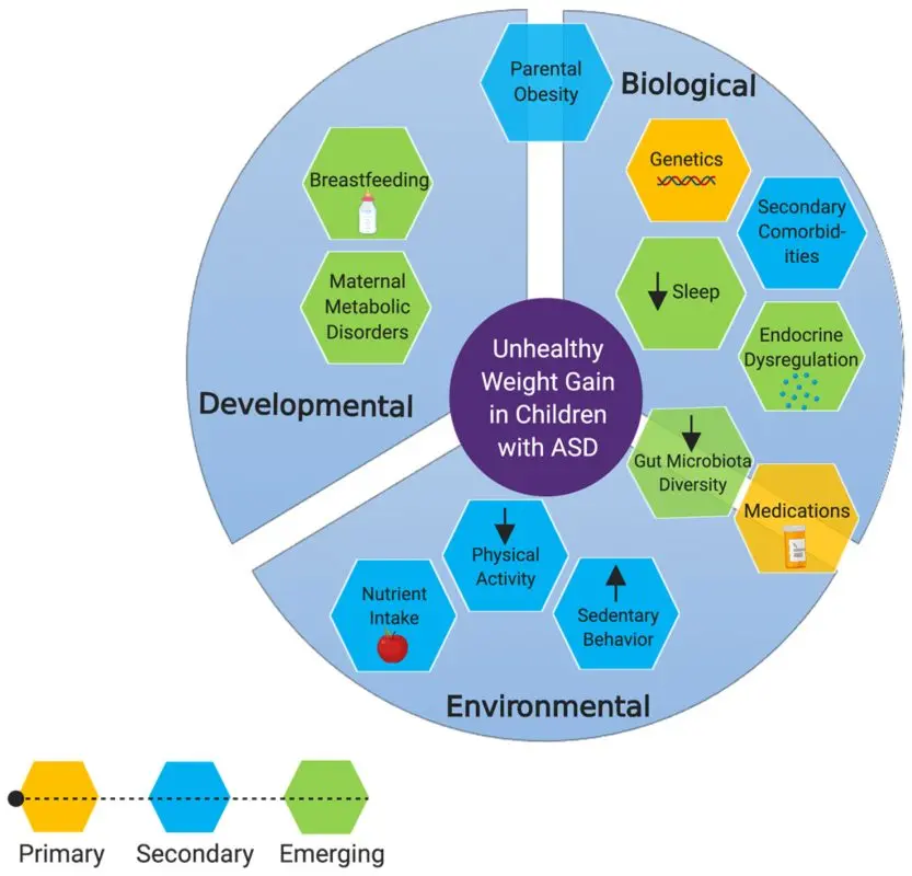 People, risk factors and prevention of autism