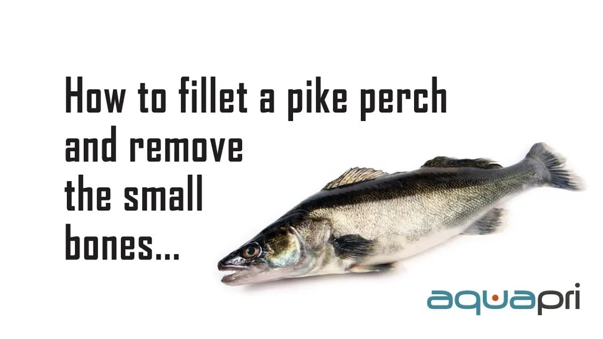 Perch fillet: how to cook it to stay tender? Video