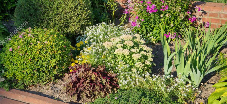 Perennial mixborders