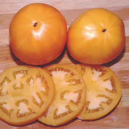 Persimmon tomato: description