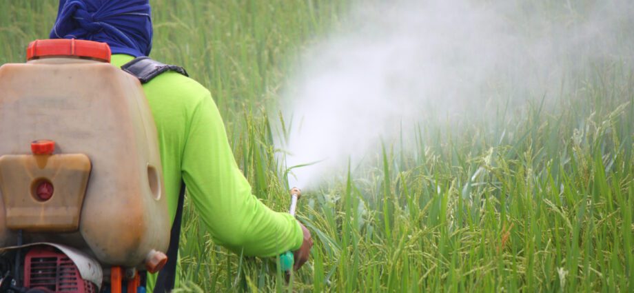 Contaminació per pesticides: "Hem de protegir el cervell dels nostres fills"