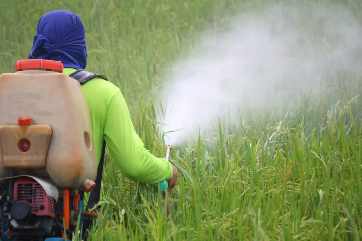 Pesticide pollution: &#8220;We must protect the brains of our children&#8221;