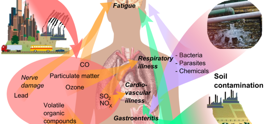 Pesticides: real health impacts