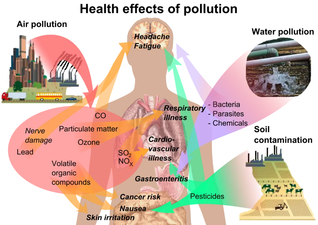 Pesticides: real health impacts