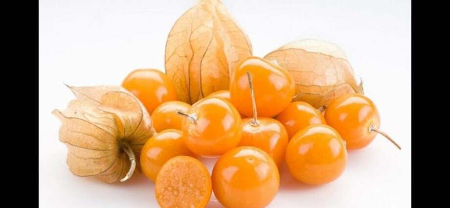 Properties of vegetable physalis. Video