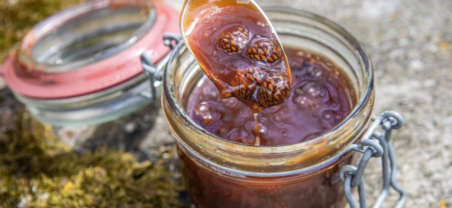 Pine cone jam: video recipe