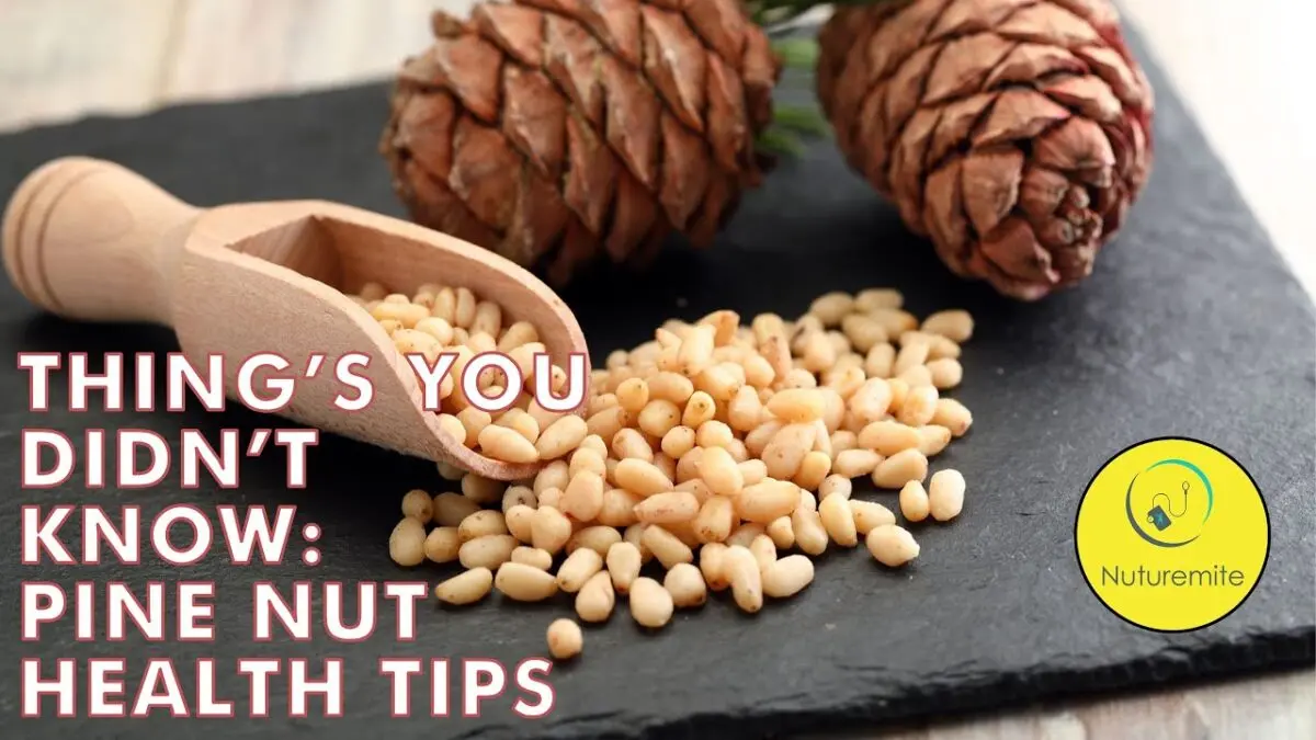 Pine nuts: beneficial properties. Video