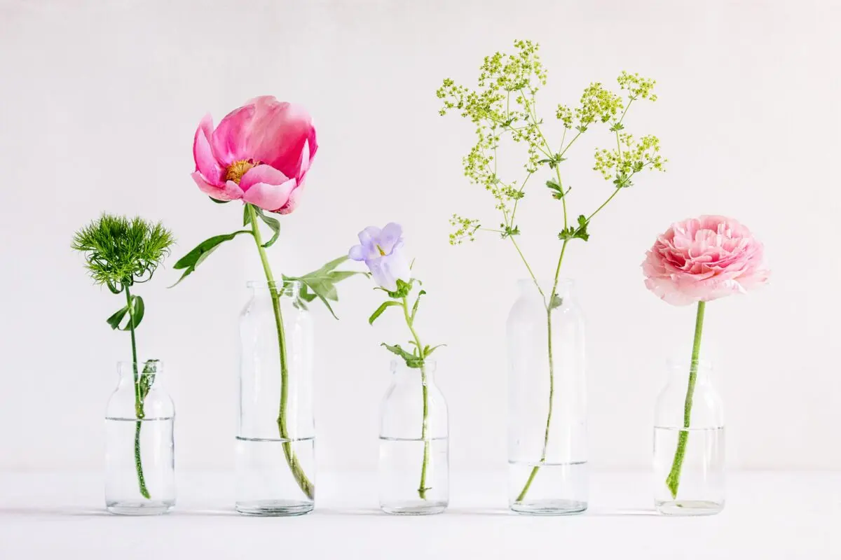 Plants that lift your spirits and help you cope with depression and blues