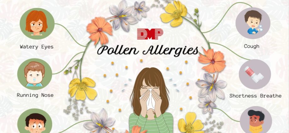Alergia al polen: lo que necesita saber