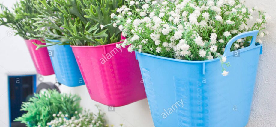 Polyethylene flower vases: photo