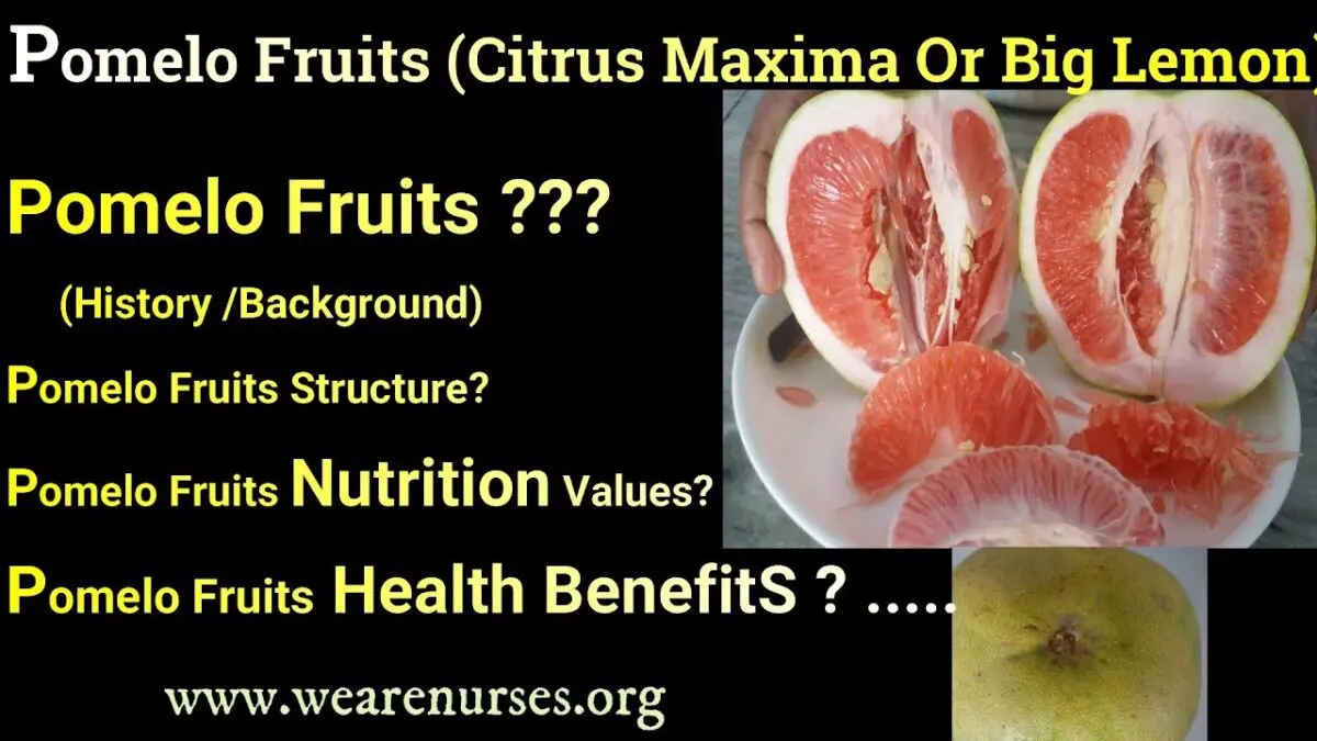 Pomelo fruit: properties and benefits. Video