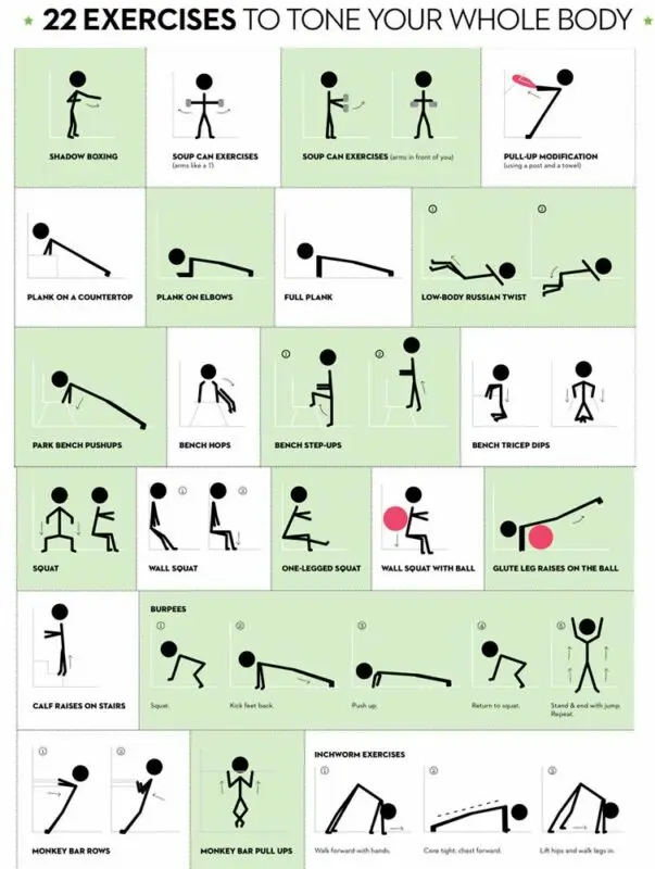 Popular workouts and exercises