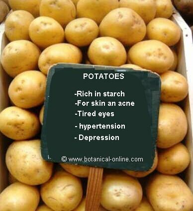 Potato. Useful properties of potatoes. Video