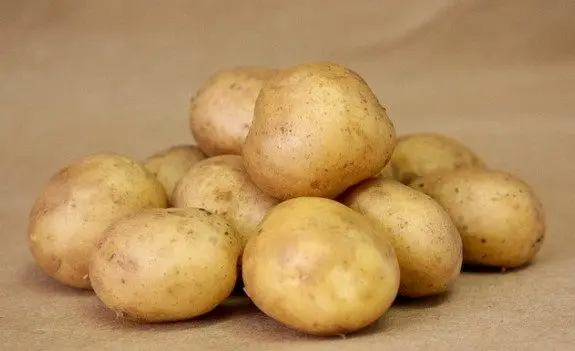 Potatoes Luck: variety description, characteristics