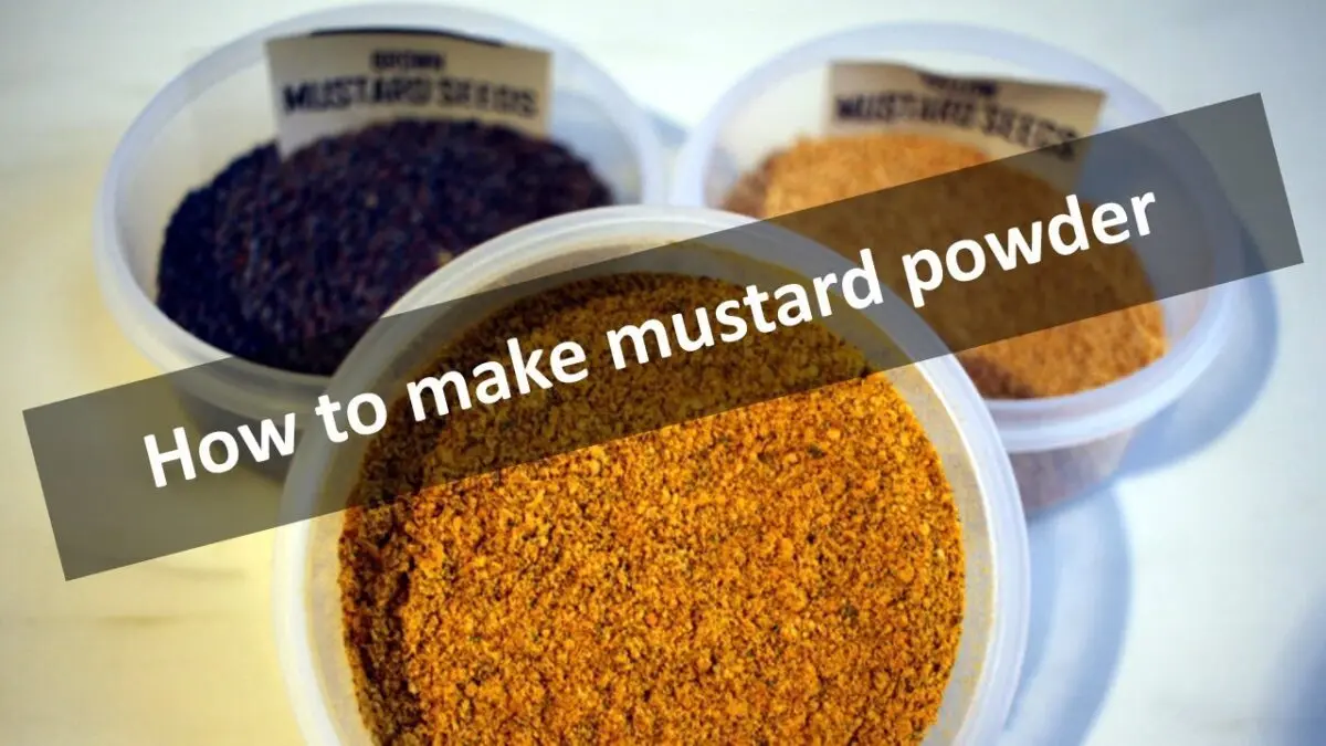 Powdered mustard: how to make a seasoning? Video