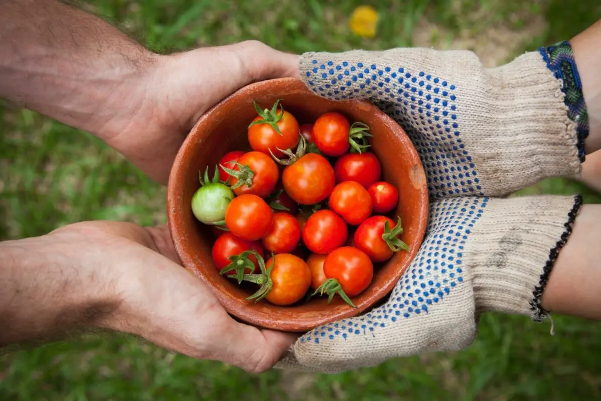 Predicting the Gastronomy of the Future with SmartFoods