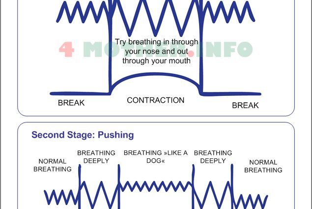 Pregnancy and childbirth: breastfeeding, breathing during childbirth