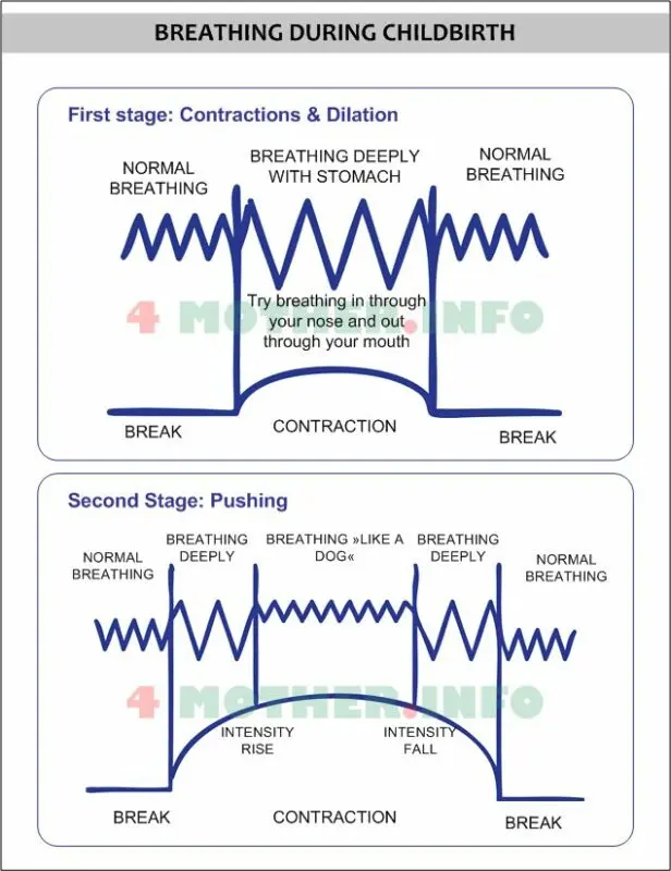Pregnancy and childbirth: breastfeeding, breathing during childbirth