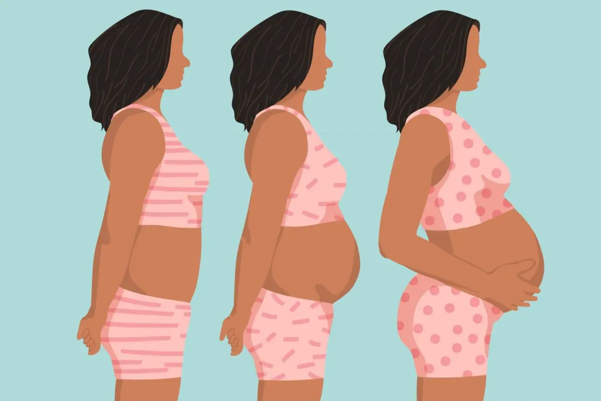 Pregnancy by week: when the belly starts to grow, in what week