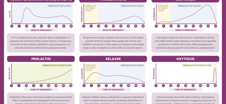 Pregnancy hormones