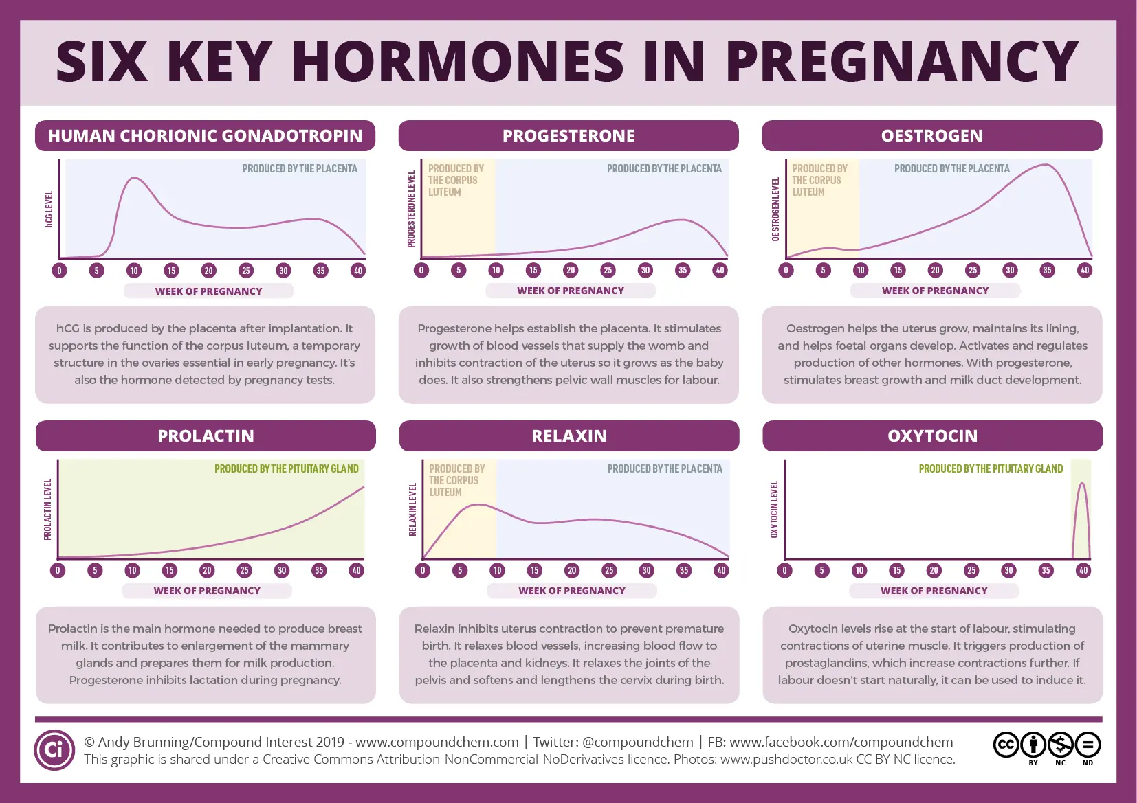 Pregnancy hormones