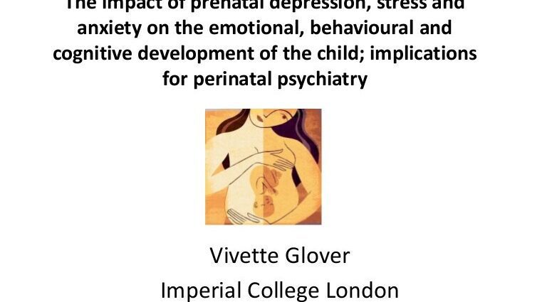 Pregnancy stress: impact on child development