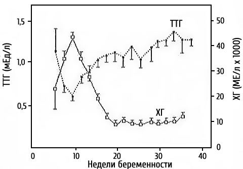 Pregnancy with increased TTG, increased TTG during pregnancy