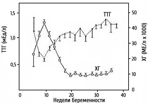 Pregnancy with increased TTG, increased TTG during pregnancy