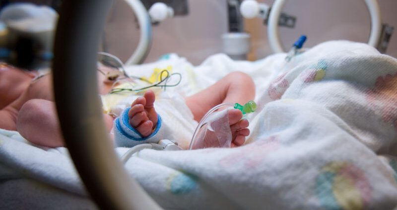 Premature babies: consequences in the future, in adulthood, 7 months