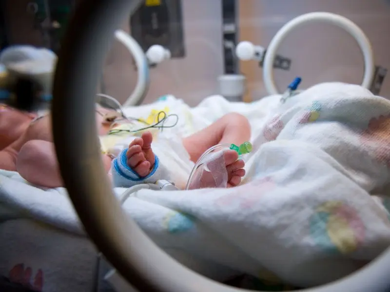 Premature babies: consequences in the future, in adulthood, 7 months