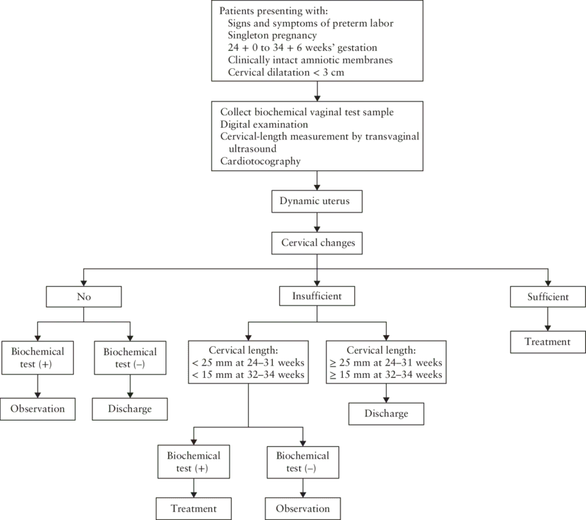 Premature labor: complementary approaches