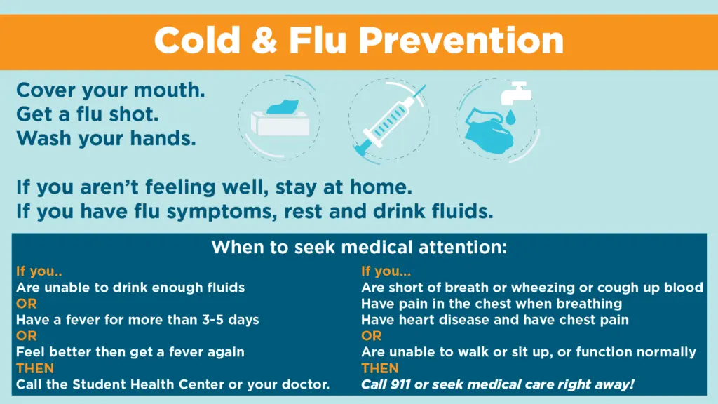 Preventing flu and colds: simple rules