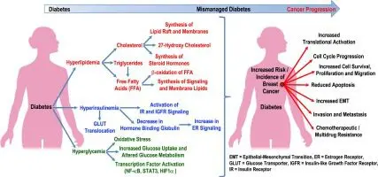 Prevention of diabetes and breast cancer