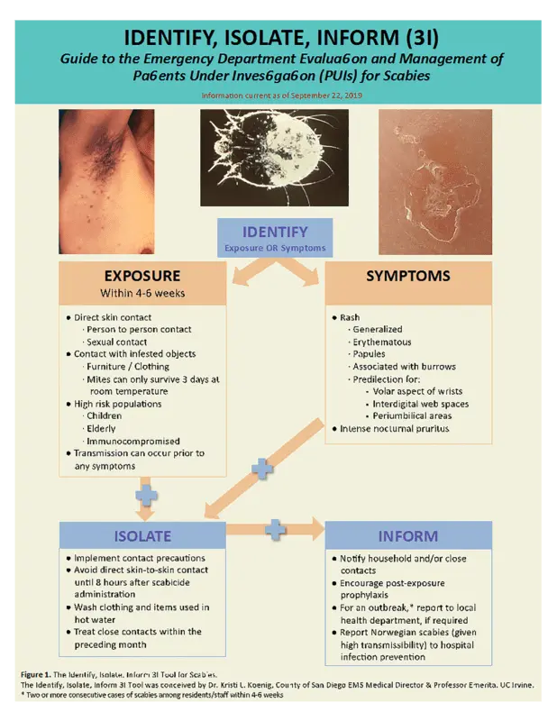 Prevention of scabies, pediculosis in children